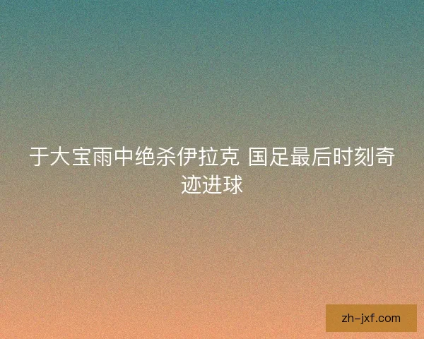 于大宝雨中绝杀伊拉克 国足最后时刻奇迹进球 于大宝雨中绝杀伊拉克 国足最后时刻奇迹进球